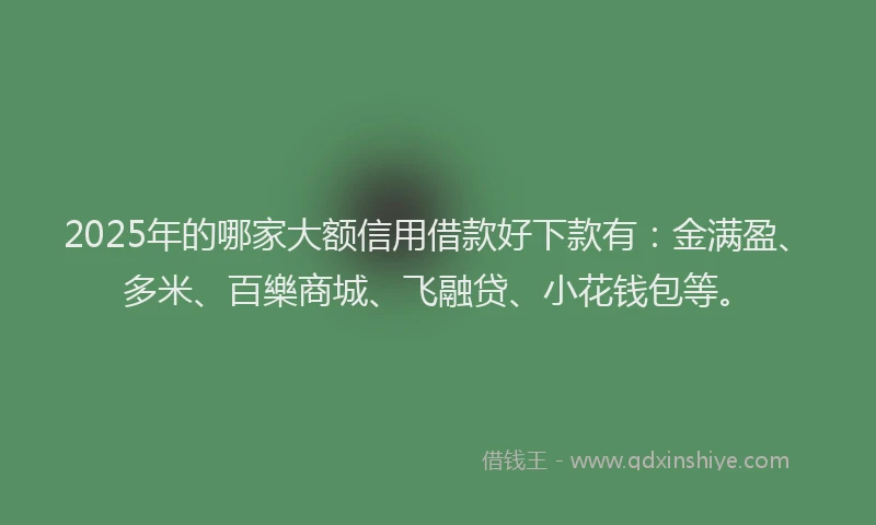 2025年的哪家大额信用借款好下款有：金满盈、多米、百樂商城、飞融贷、小花钱包等。