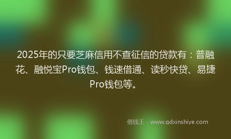 2025年的只要芝麻信用不查征信的贷款有：普融花、融悦宝Pro钱包、钱速借通、读秒快贷、易捷Pro钱包等。