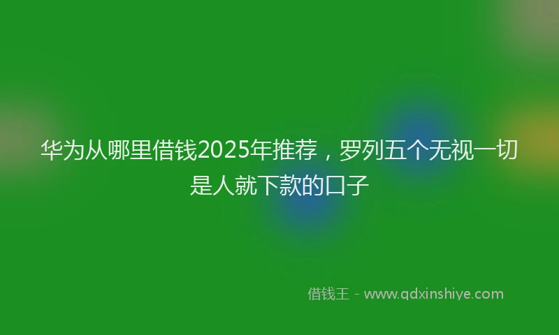 华为从哪里借钱2025年推荐，罗列五个无视一切是人就下款的口子
