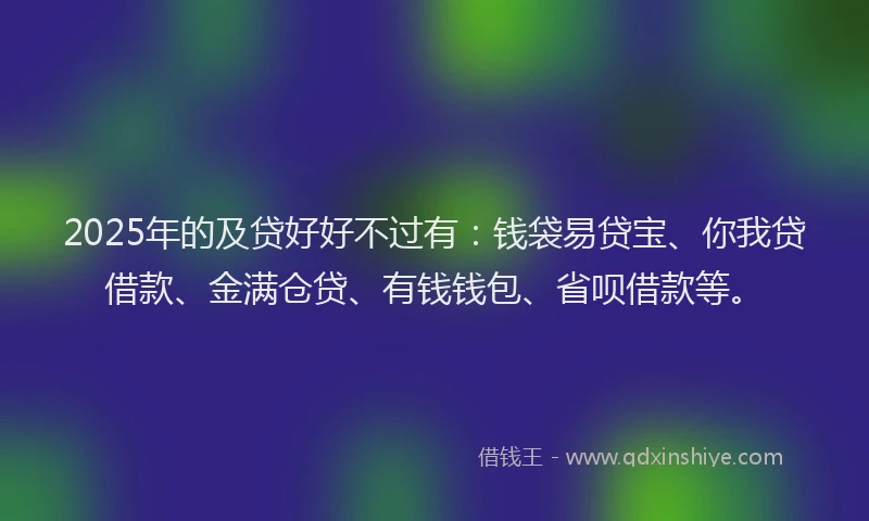 2025年的及贷好好不过有：钱袋易贷宝、你我贷借款、金满仓贷、有钱钱包、省呗借款等。