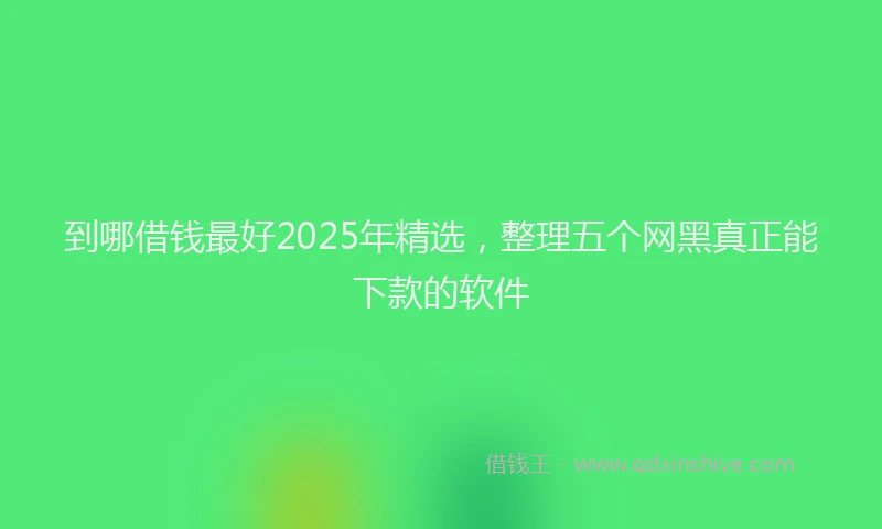 到哪借钱最好2025年精选，整理五个网黑真正能下款的软件