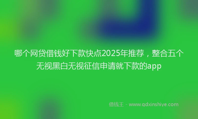 哪个网贷借钱好下款快点2025年推荐，整合五个无视黑白无视征信申请就下款的app