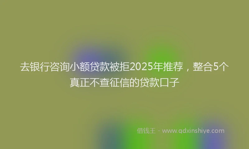 去银行咨询小额贷款被拒2025年推荐，整合5个真正不查征信的贷款口子