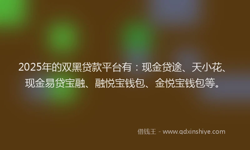 2025年的双黑贷款平台有：现金贷途、天小花、现金易贷宝融、融悦宝钱包、金悦宝钱包等。