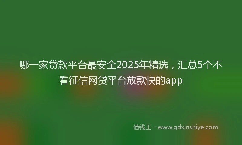 哪一家贷款平台最安全2025年精选，汇总5个不看征信网贷平台放款快的app