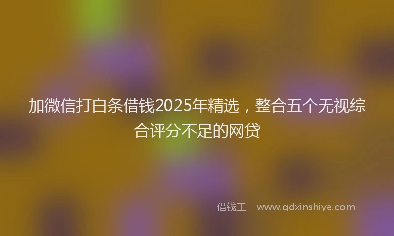 加微信打白条借钱2025年精选，整合五个无视综合评分不足的网贷