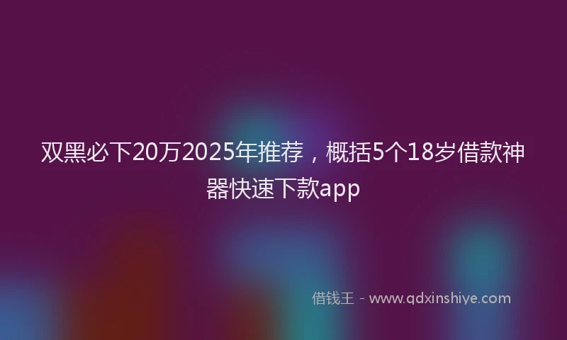 双黑必下20万2025年推荐，概括5个18岁借款神器快速下款app