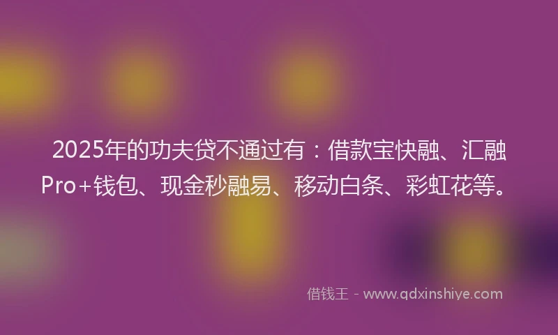 2025年的功夫贷不通过有：借款宝快融、汇融Pro+钱包、现金秒融易、移动白条、彩虹花等。