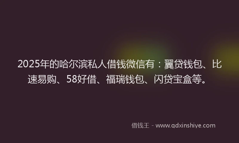 2025年的哈尔滨私人借钱微信有：翼贷钱包、比速易购、58好借、福瑞钱包、闪贷宝盒等。