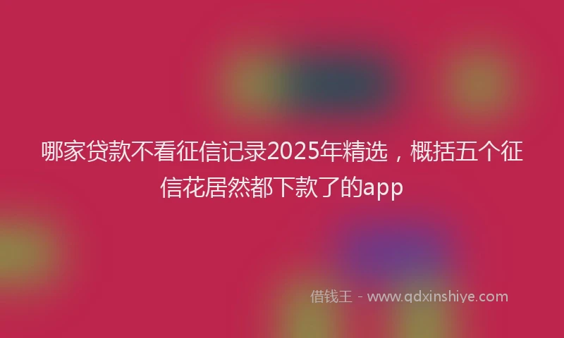哪家贷款不看征信记录2025年精选，概括五个征信花居然都下款了的app