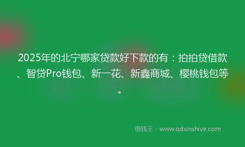 2025年的北宁哪家贷款好下款的有：拍拍贷借款、智贷Pro钱包、新一花、新鑫商城、樱桃钱包等。