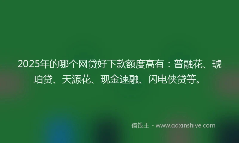 2025年的哪个网贷好下款额度高有：普融花、琥珀贷、天源花、现金速融、闪电侠贷等。