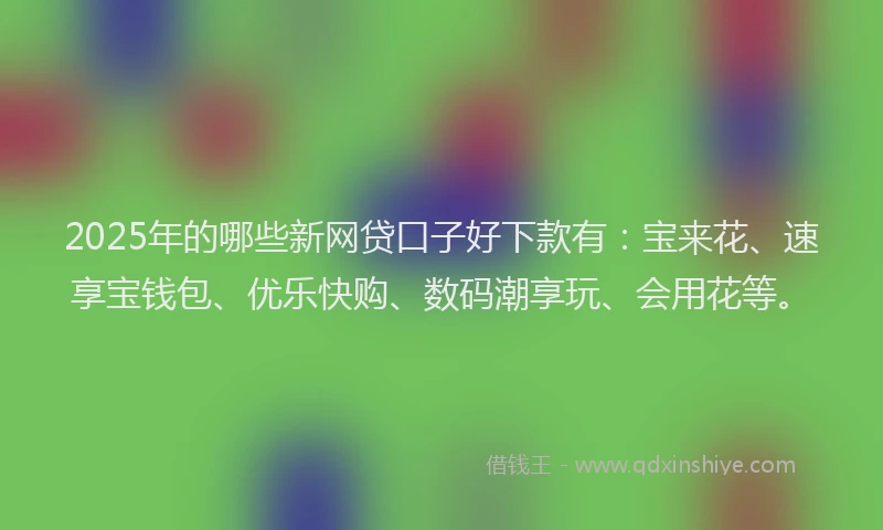 2025年的哪些新网贷口子好下款有：宝来花、速享宝钱包、优乐快购、数码潮享玩、会用花等。