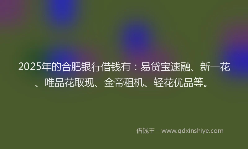 2025年的合肥银行借钱有：易贷宝速融、新一花、唯品花取现、金帝租机、轻花优品等。