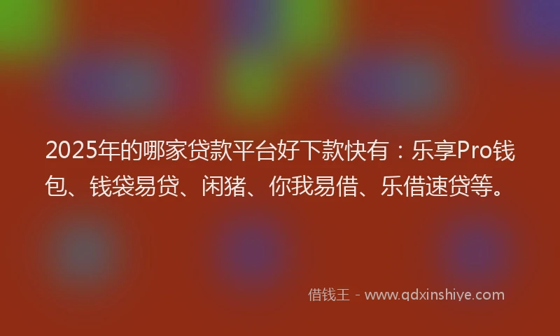 2025年的哪家贷款平台好下款快有：乐享Pro钱包、钱袋易贷、闲猪、你我易借、乐借速贷等。