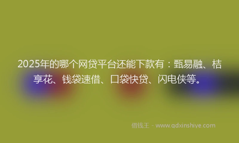 2025年的哪个网贷平台还能下款有：甄易融、桔享花、钱袋速借、口袋快贷、闪电侠等。