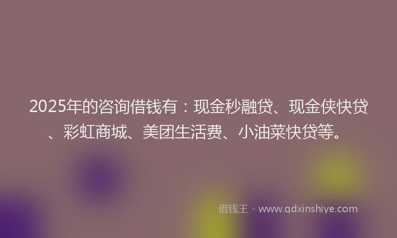 2025年的咨询借钱有：现金秒融贷、现金侠快贷、彩虹商城、美团生活费、小油菜快贷等。