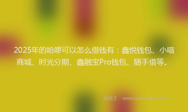 2025年的哈啰可以怎么借钱有：鑫悦钱包、小喵商城、时光分期、鑫融宝Pro钱包、随手借等。