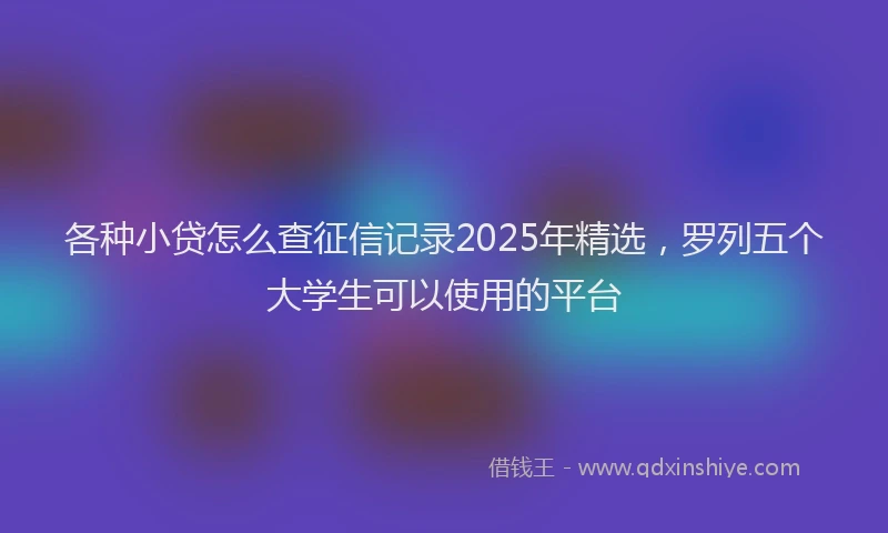 各种小贷怎么查征信记录2025年精选，罗列五个大学生可以使用的平台