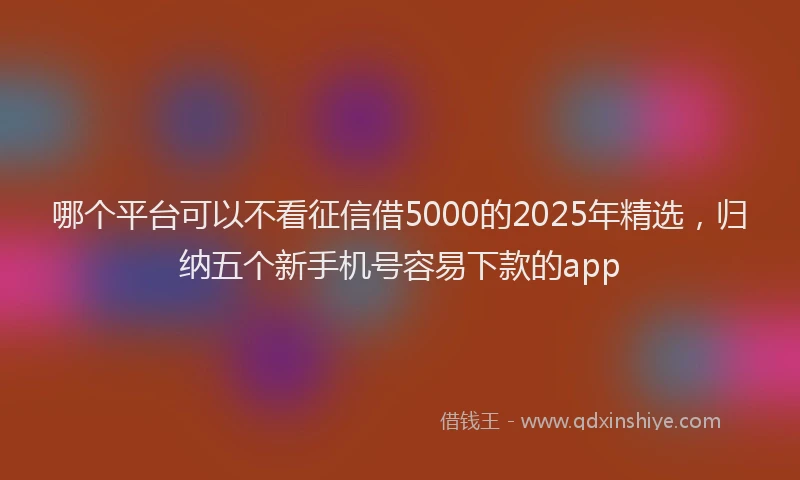 哪个平台可以不看征信借5000的2025年精选，归纳五个新手机号容易下款的app