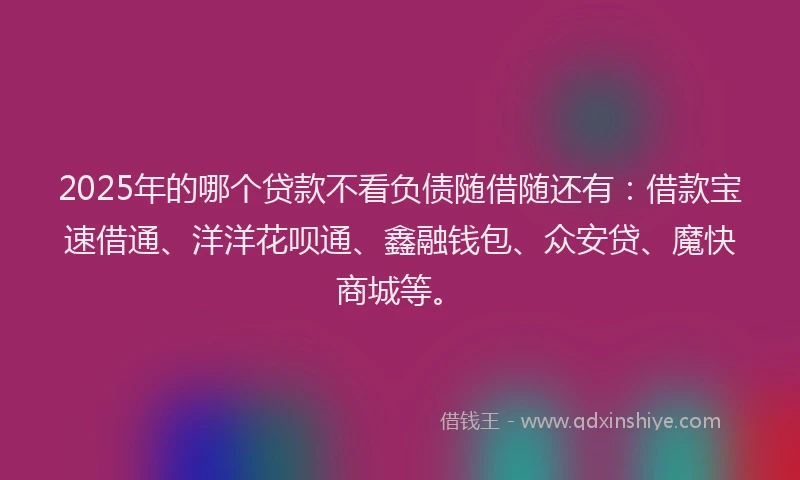 2025年的哪个贷款不看负债随借随还有：借款宝速借通、洋洋花呗通、鑫融钱包、众安贷、魔快商城等。