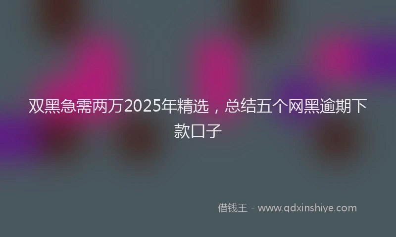 双黑急需两万2025年精选，总结五个网黑逾期下款口子