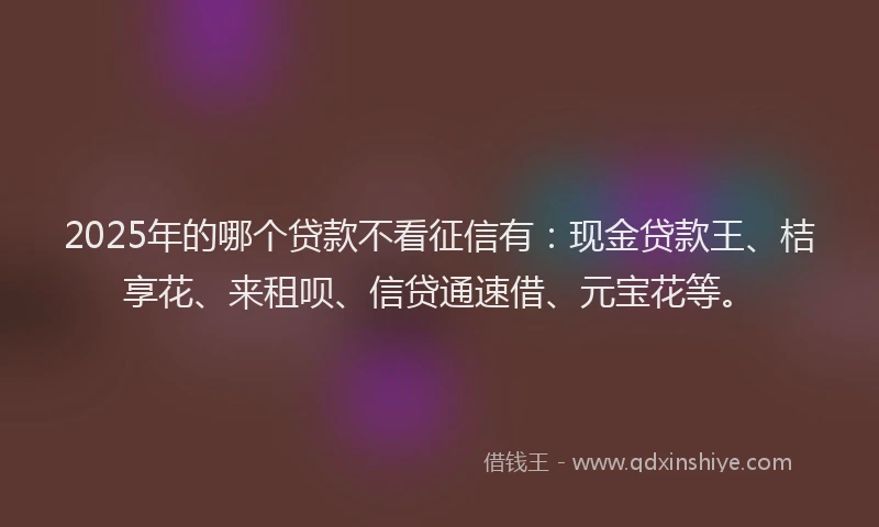 2025年的哪个贷款不看征信有：现金贷款王、桔享花、来租呗、信贷通速借、元宝花等。