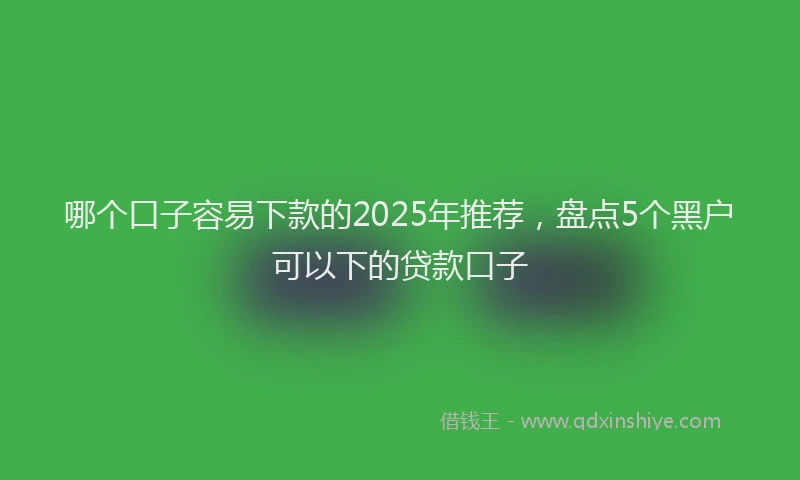 哪个口子容易下款的2025年推荐，盘点5个黑户可以下的贷款口子