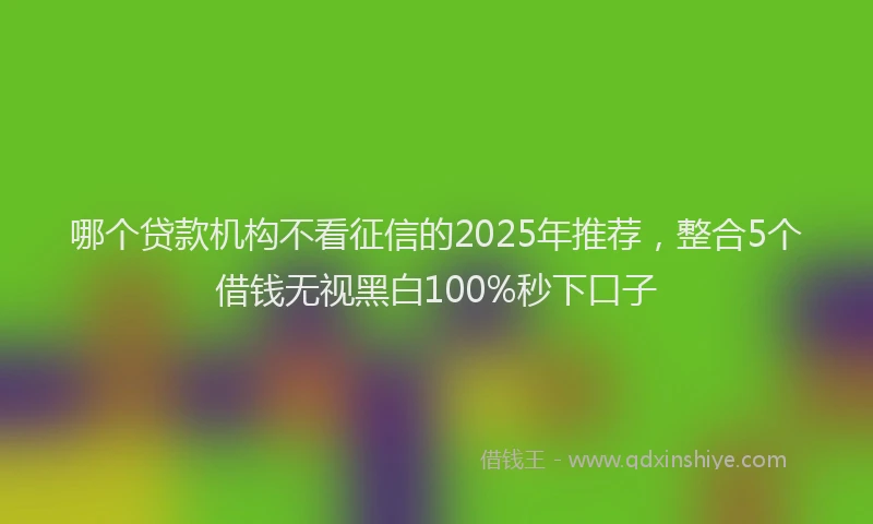 哪个贷款机构不看征信的2025年推荐，整合5个借钱无视黑白100%秒下口子
