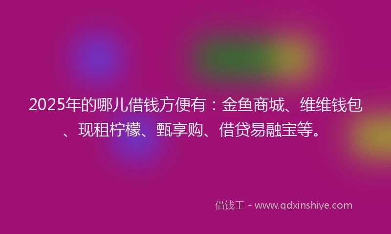 2025年的哪儿借钱方便有：金鱼商城、维维钱包、现租柠檬、甄享购、借贷易融宝等。