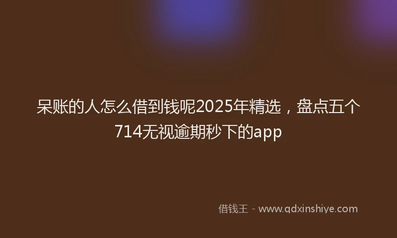 呆账的人怎么借到钱呢2025年精选，盘点五个714无视逾期秒下的app