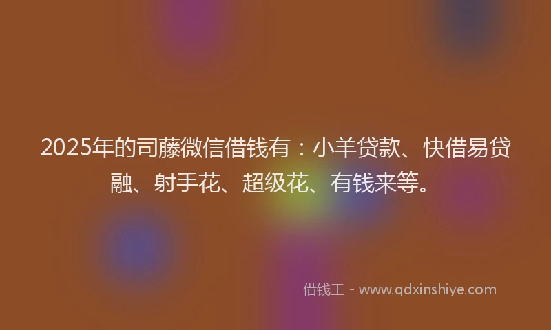 2025年的司藤微信借钱有：小羊贷款、快借易贷融、射手花、超级花、有钱来等。