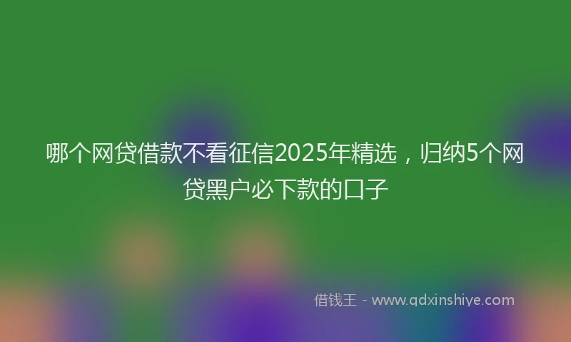 哪个网贷借款不看征信2025年精选，归纳5个网贷黑户必下款的口子