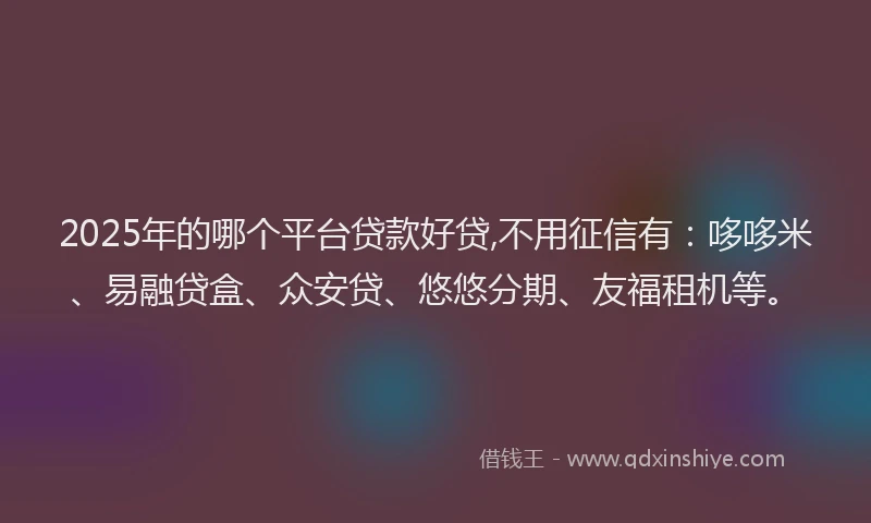 2025年的哪个平台贷款好贷,不用征信有：哆哆米、易融贷盒、众安贷、悠悠分期、友福租机等。