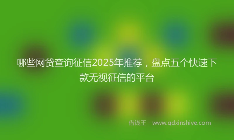哪些网贷查询征信2025年推荐，盘点五个快速下款无视征信的平台
