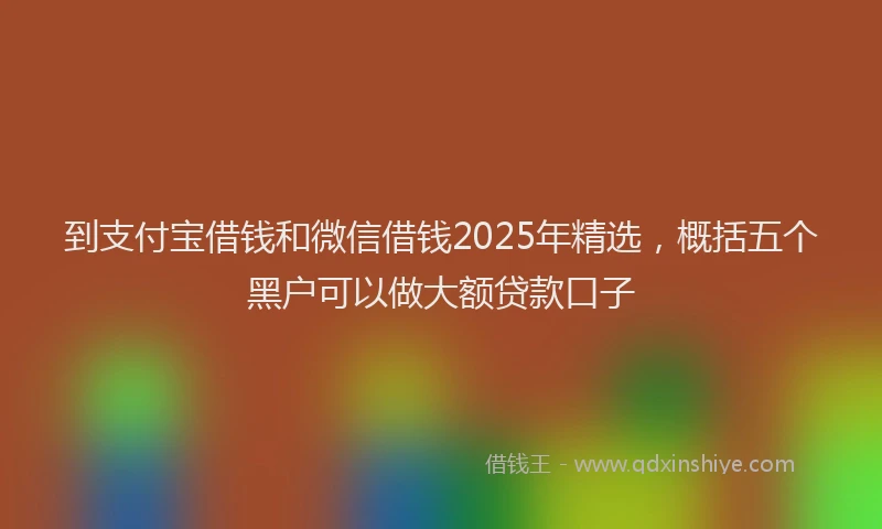 到支付宝借钱和微信借钱2025年精选，概括五个黑户可以做大额贷款口子