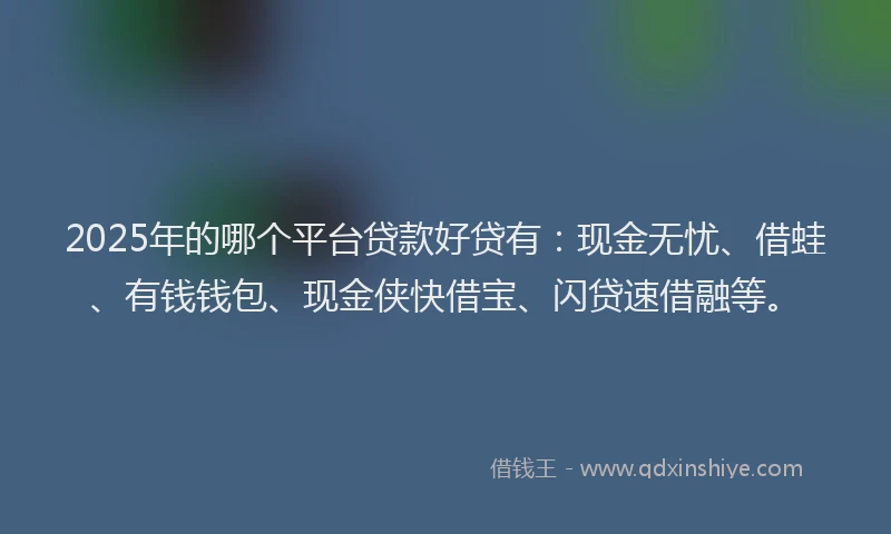 2025年的哪个平台贷款好贷有：现金无忧、借蛙、有钱钱包、现金侠快借宝、闪贷速借融等。