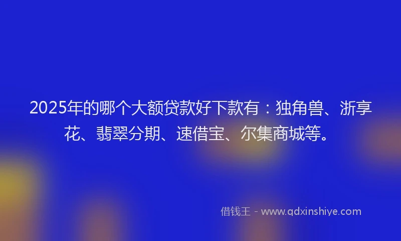 2025年的哪个大额贷款好下款有：独角兽、浙享花、翡翠分期、速借宝、尔集商城等。
