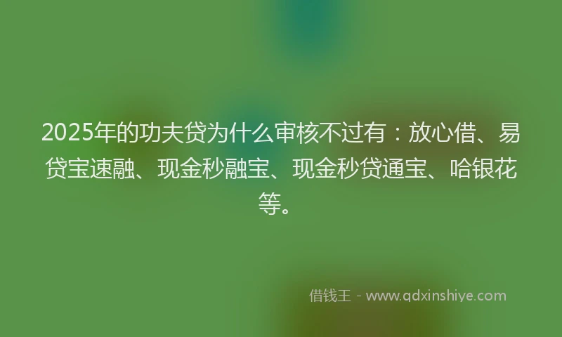 2025年的功夫贷为什么审核不过有：放心借、易贷宝速融、现金秒融宝、现金秒贷通宝、哈银花等。