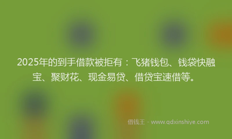 2025年的到手借款被拒有：飞猪钱包、钱袋快融宝、聚财花、现金易贷、借贷宝速借等。