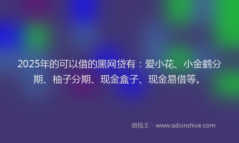 2025年的可以借的黑网贷有：爱小花、小金鹤分期、柚子分期、现金盒子、现金易借等。