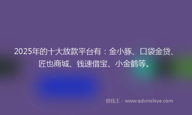 2025年的十大放款平台有：金小豚、口袋金贷、匠也商城、钱速借宝、小金鹤等。
