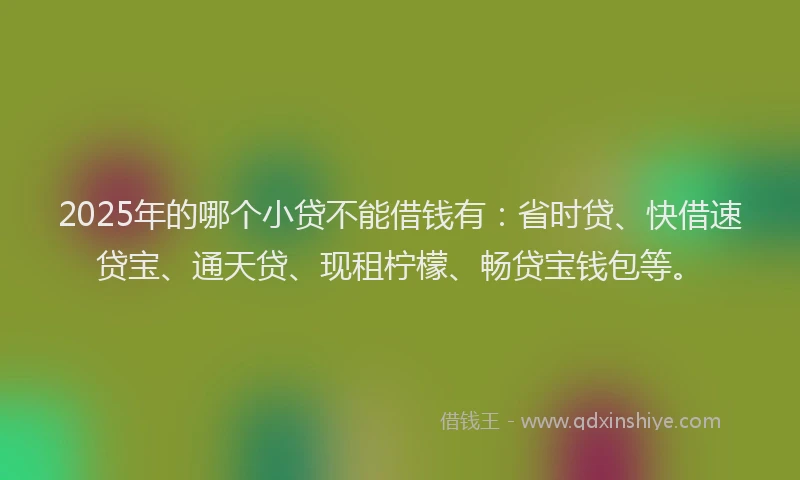 2025年的哪个小贷不能借钱有：省时贷、快借速贷宝、通天贷、现租柠檬、畅贷宝钱包等。
