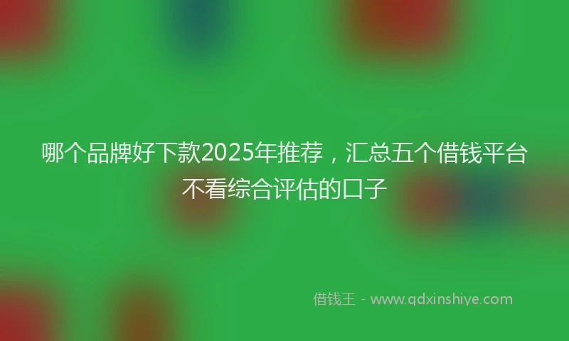 哪个品牌好下款2025年推荐，汇总五个借钱平台不看综合评估的口子