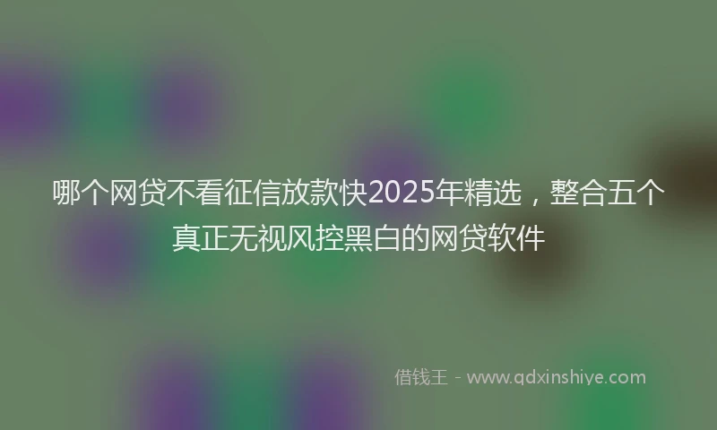 哪个网贷不看征信放款快2025年精选，整合五个真正无视风控黑白的网贷软件