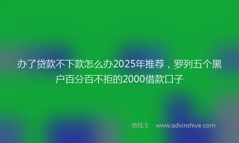 办了贷款不下款怎么办2025年推荐，罗列五个黑户百分百不拒的2000借款口子
