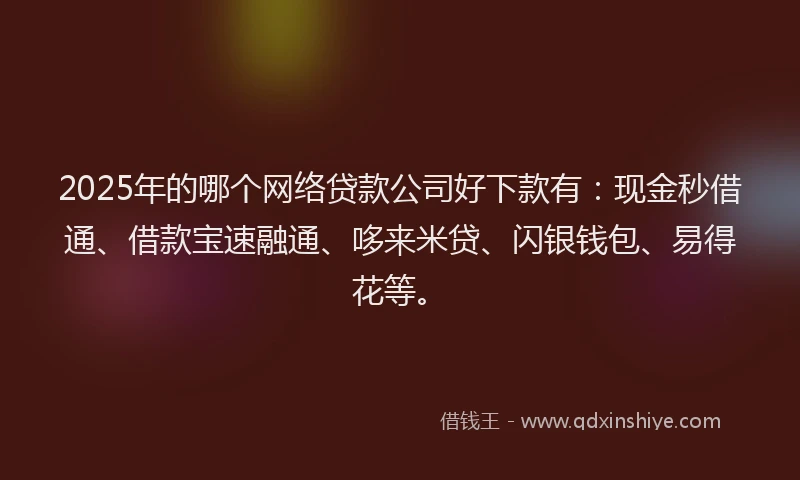 2025年的哪个网络贷款公司好下款有：现金秒借通、借款宝速融通、哆来米贷、闪银钱包、易得花等。