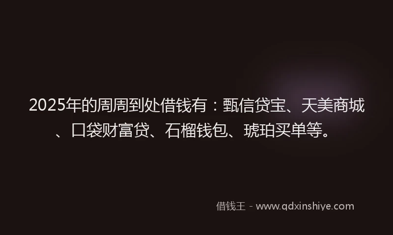 2025年的周周到处借钱有：甄信贷宝、天美商城、口袋财富贷、石榴钱包、琥珀买单等。