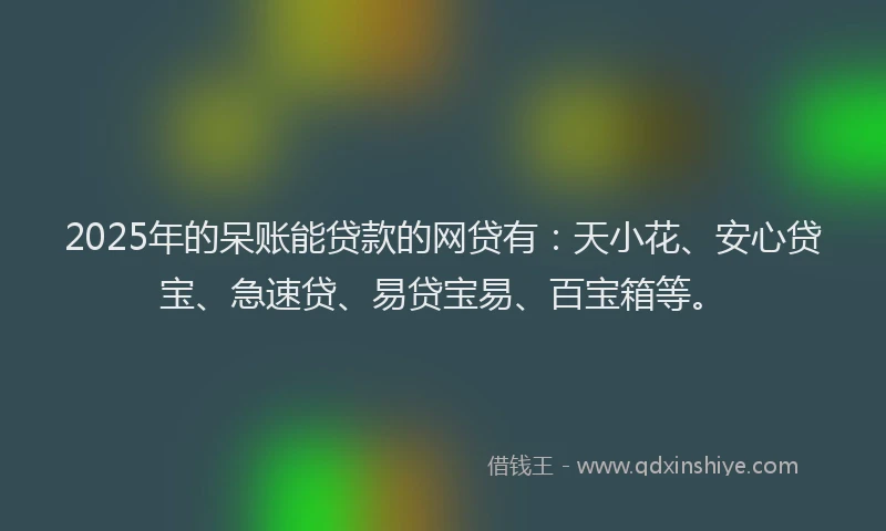 2025年的呆账能贷款的网贷有：天小花、安心贷宝、急速贷、易贷宝易、百宝箱等。