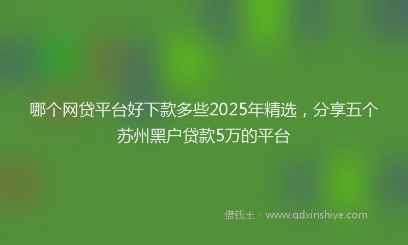 哪个网贷平台好下款多些2025年精选，分享五个苏州黑户贷款5万的平台